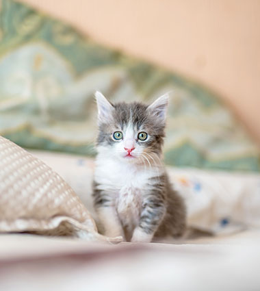 如何度過適應(yīng)期？