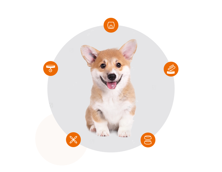 如何為幼犬準備新家生活？