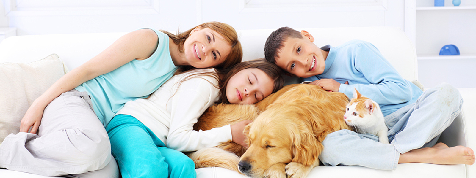 為全球養(yǎng)寵人士打造更具品質(zhì)感的消費(fèi)體驗(yàn)